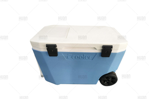PE insulation can cooler box cooling container